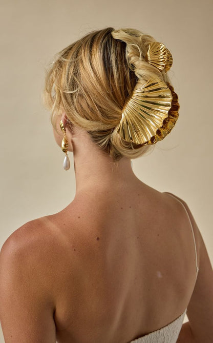 Shell HAIR CLIP