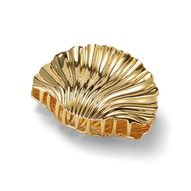 Shell HAIR CLIP