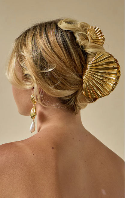 Shell HAIR CLIP